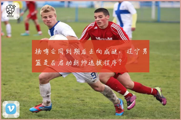 杨鸣合同到期后去向成谜，辽宁男篮是否启动新帅选拔程序？