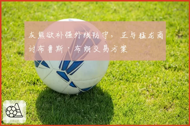 灰熊欲补强外线防守，正与猛龙商讨布鲁斯·布朗交易方案