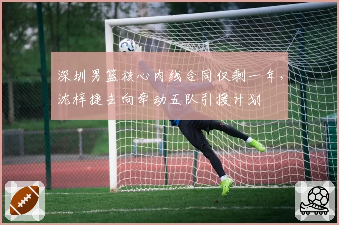 深圳男篮核心内线合同仅剩一年,沈梓捷去向牵动五队引援计划
